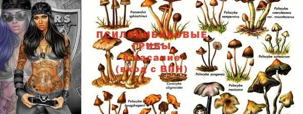 герыч Балахна